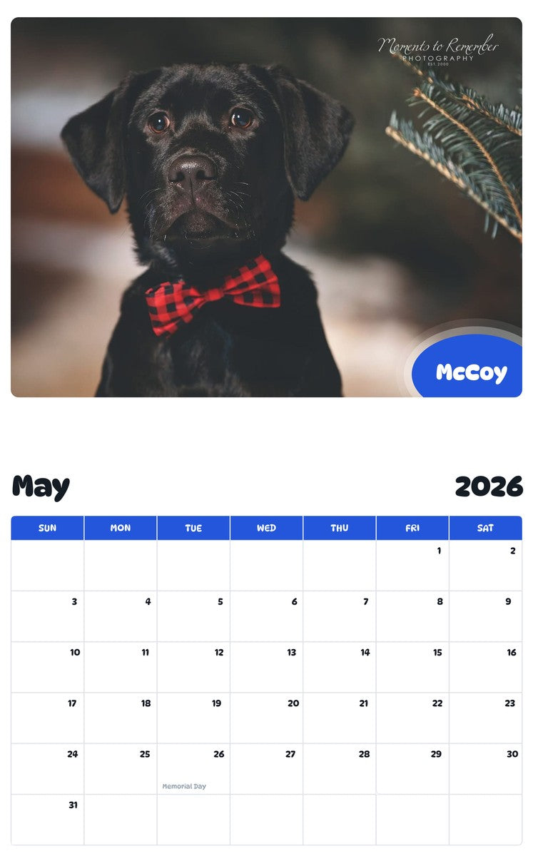 2026 - 2027 McCoy - Pawidols Pet Calendar