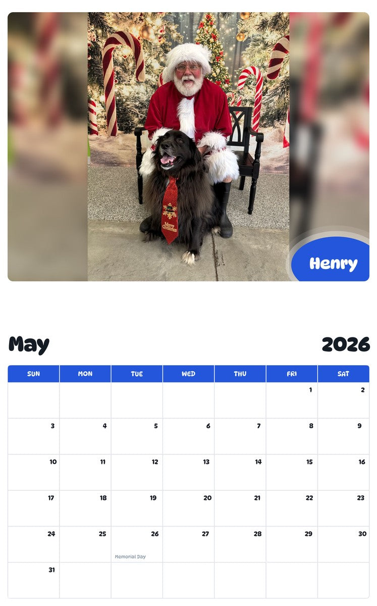 2026 - 2027 Henry - Pawidols Pet Calendar
