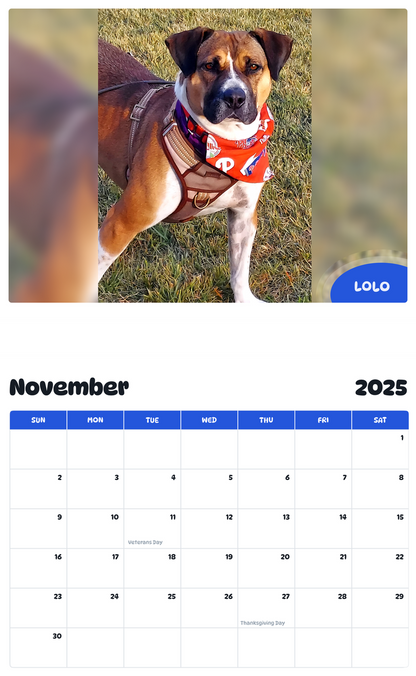 July 2025 - June 2026 Lolo - Pawidols Pet Calendar