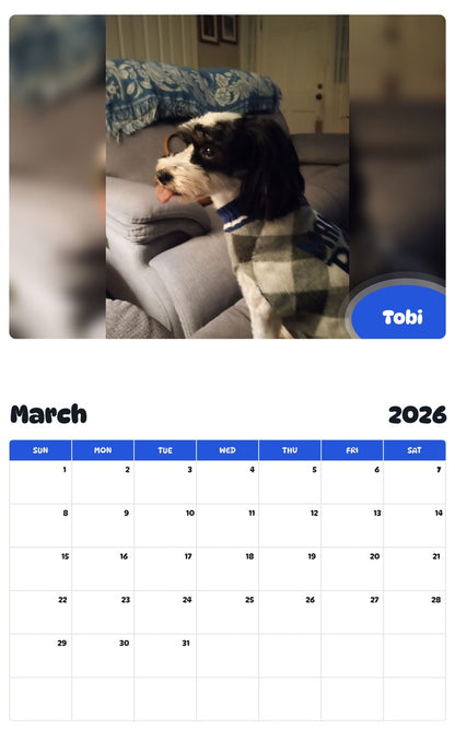 November 2025 - October 2026 Tobi - Pawidols Pet Calendar