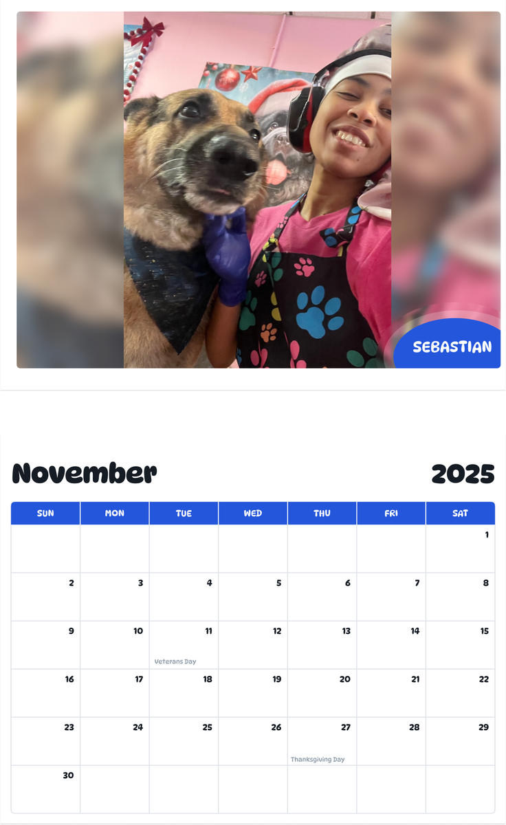 July 2025 - June 2026 Sebastian - Pawidols Pet Calendar