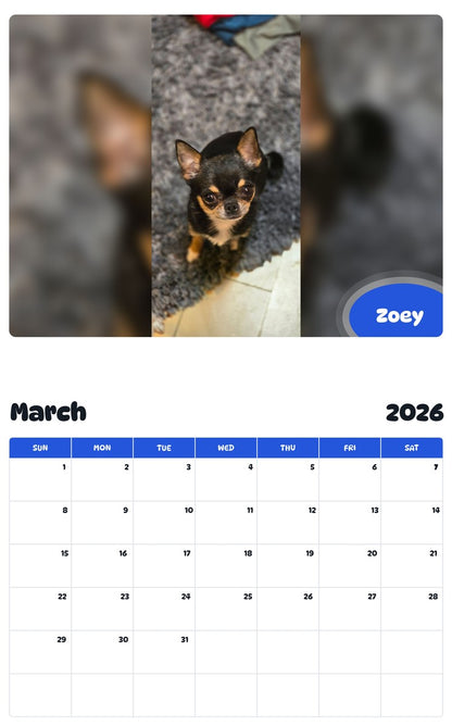 November 2025 - October 2026 Zoey - Pawidols Pet Calendar