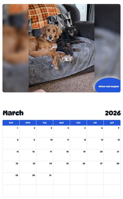 November 2025 - October 2026 Oliver and copper - Pawidols Pet Calendar