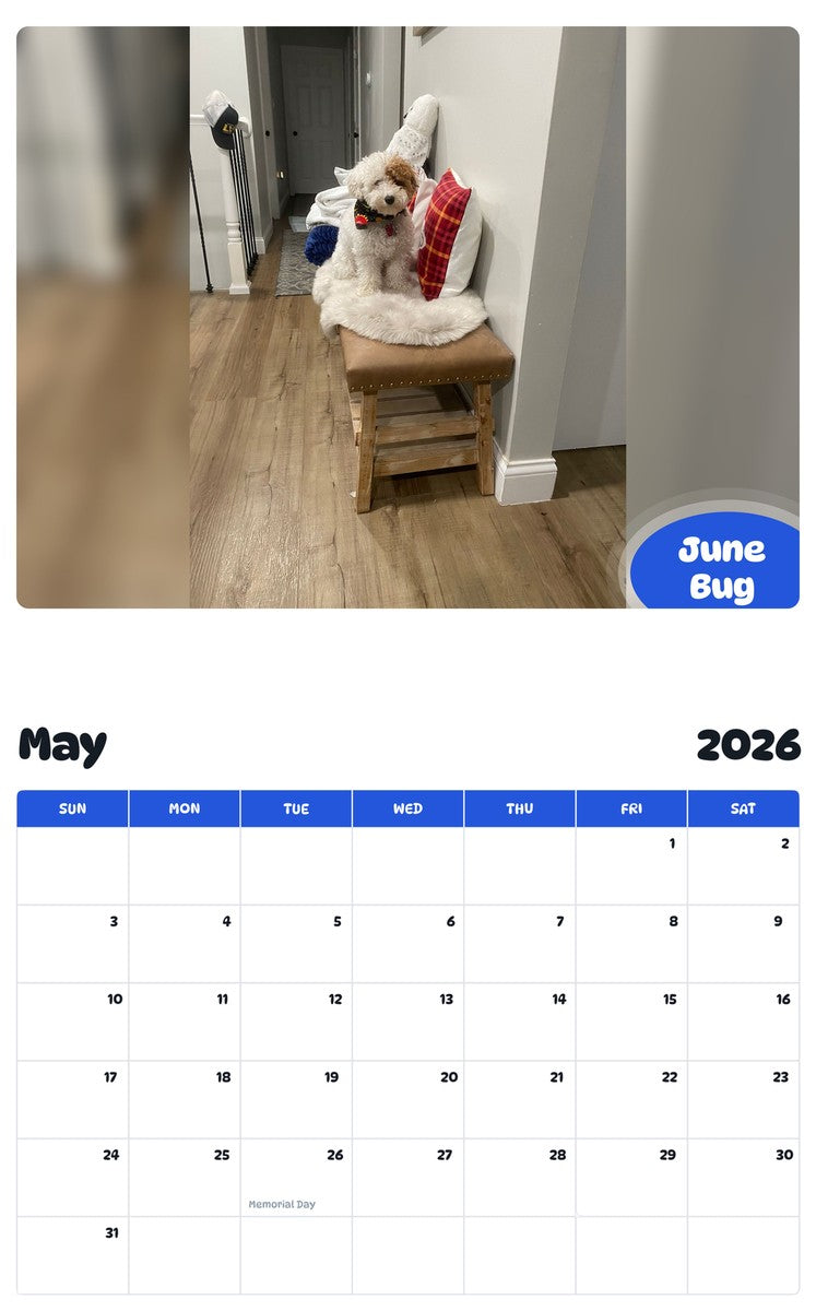 2026 - 2027 June Bug - Pawidols Pet Calendar