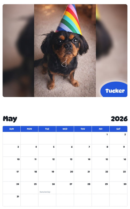 2026 - 2027 Tucker - Pawidols Pet Calendar