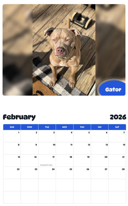 November 2025 - October 2026 Gator - Pawidols Pet Calendar