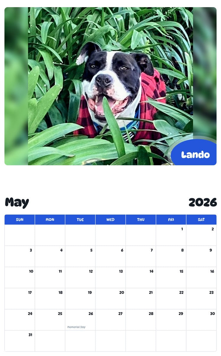 2026 - 2027 Lando - Pawidols Pet Calendar