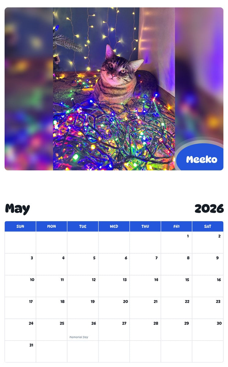 2026 - 2027 Meeko - Pawidols Pet Calendar