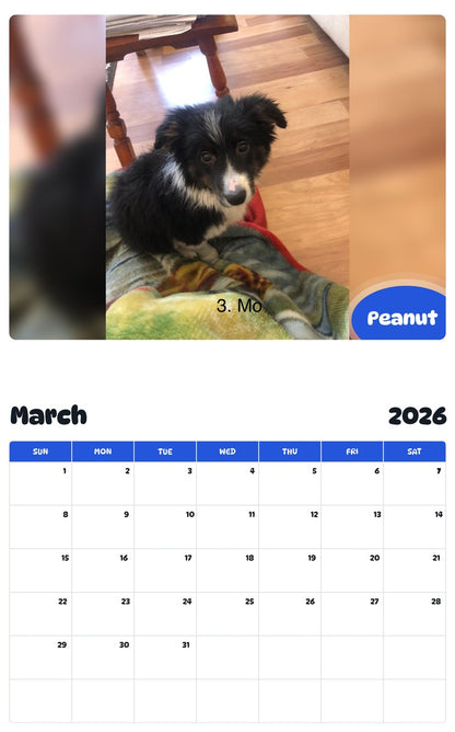November 2025 - October 2026 Peanut - Pawidols Pet Calendar
