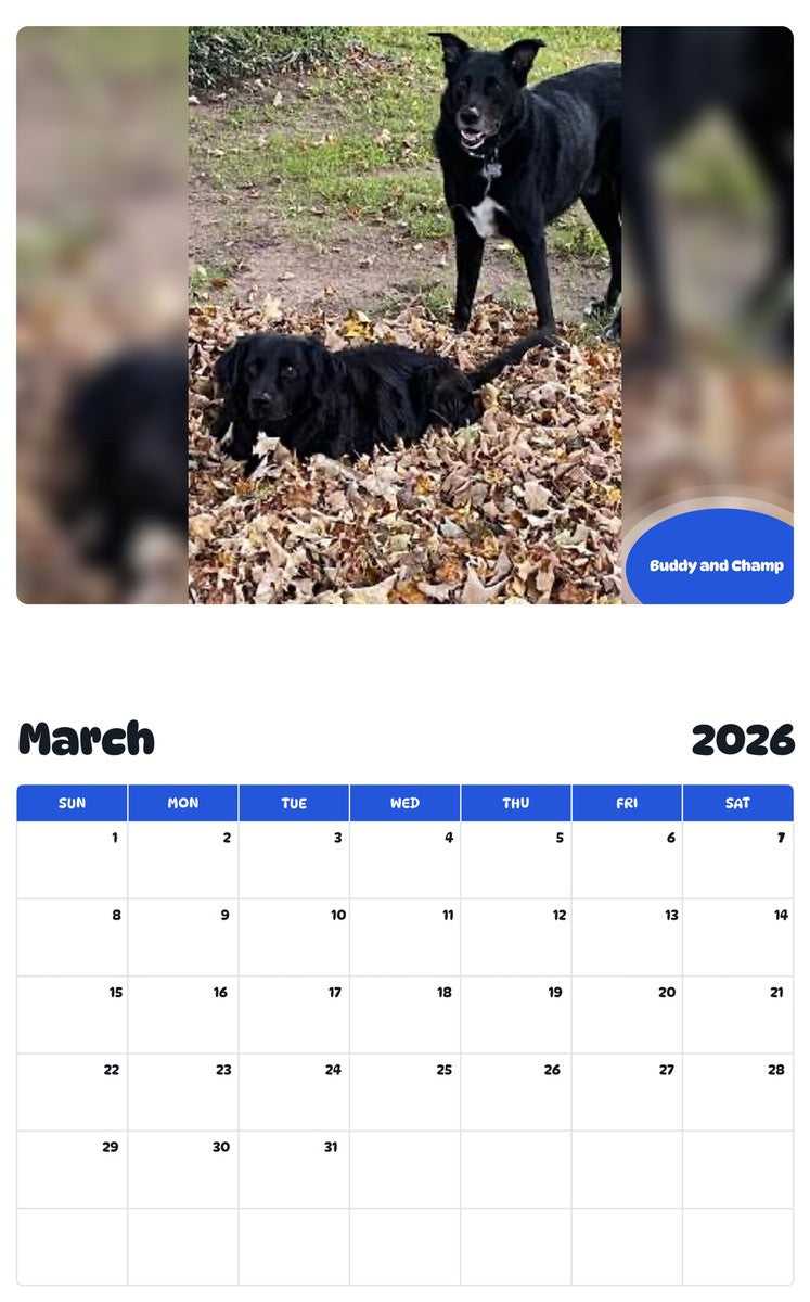 November 2025 - October 2026 Buddy and Champ - Pawidols Pet Calendar