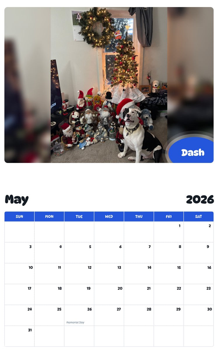 2026 - 2027 Dash - Pawidols Pet Calendar