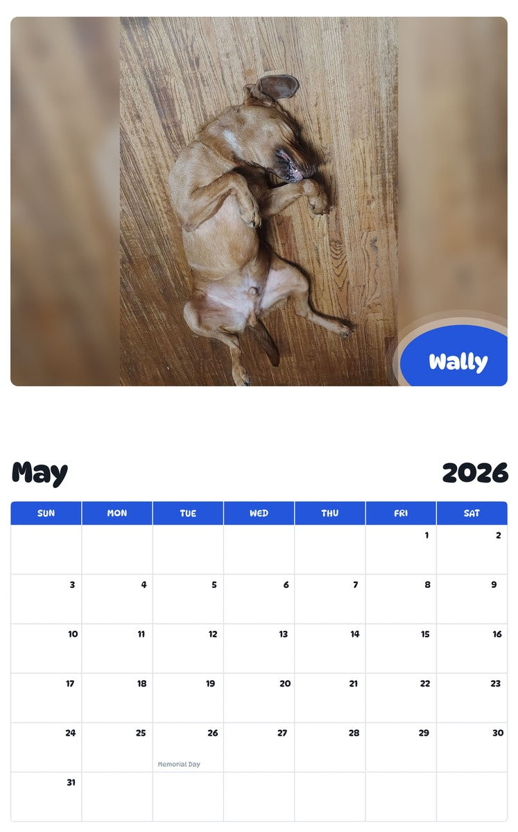 2026 - 2027 Wally - Pawidols Pet Calendar