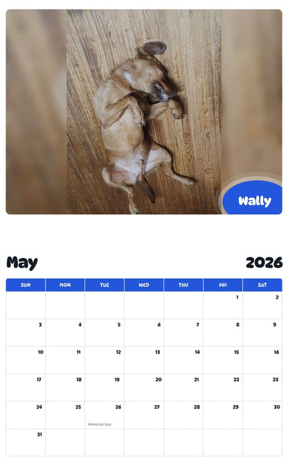 2026 - 2027 Wally - Pawidols Pet Calendar