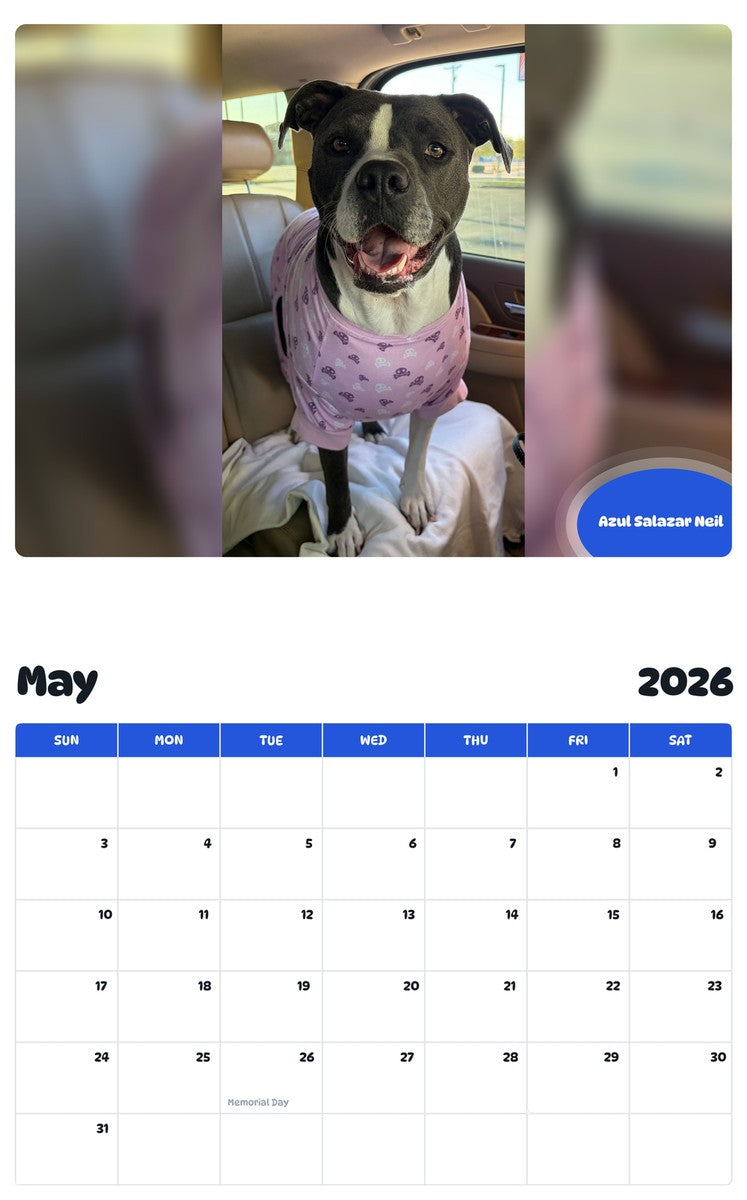 2026 - 2027 Azul Salazar Neil - Pawidols Pet Calendar