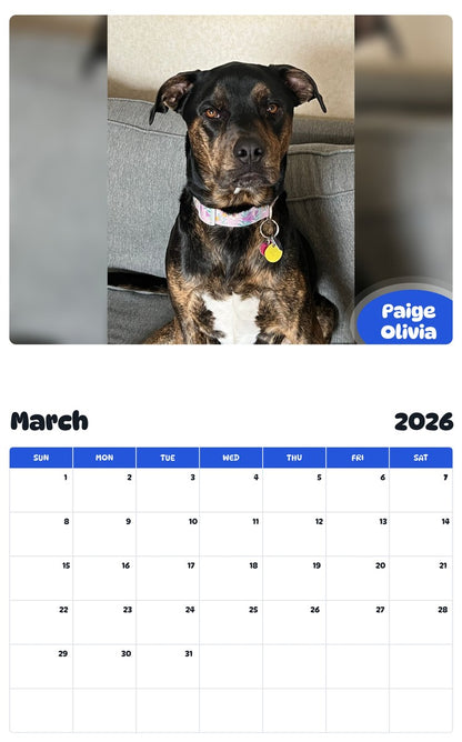 November 2025 - October 2026 Paige Olivia - Pawidols Pet Calendar