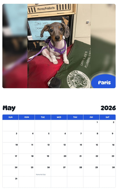 2026 - 2027 Paris - Pawidols Pet Calendar