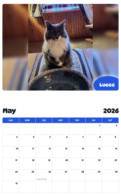 2026 - 2027 Lucee - Pawidols Pet Calendar