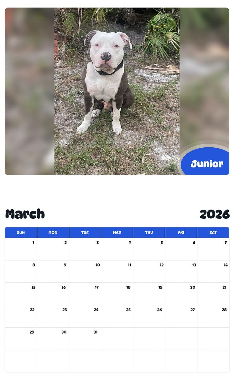 November 2025 - October 2026 Junior - Pawidols Pet Calendar
