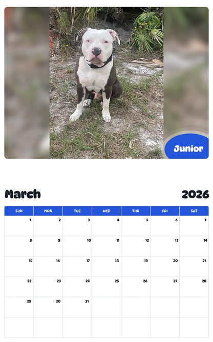 November 2025 - October 2026 Junior - Pawidols Pet Calendar