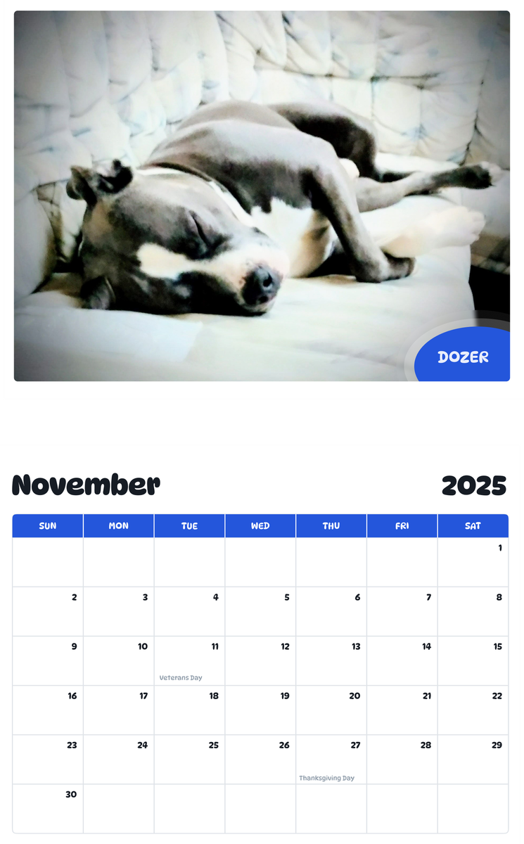 July 2025 - June 2026 Dozer - Pawidols Pet Calendar