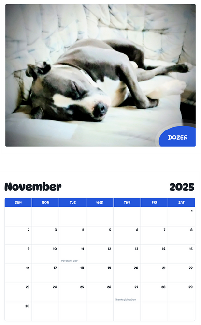 July 2025 - June 2026 Dozer - Pawidols Pet Calendar