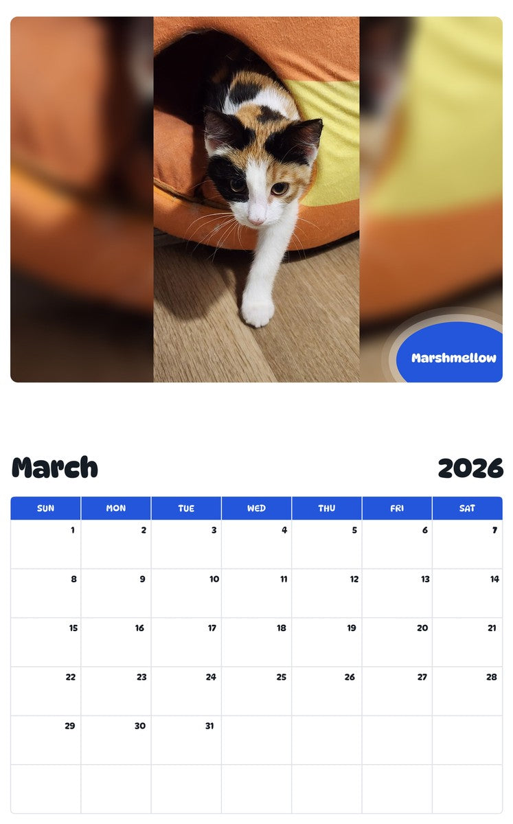 November 2025 - October 2026 Marshmellow - Pawidols Pet Calendar