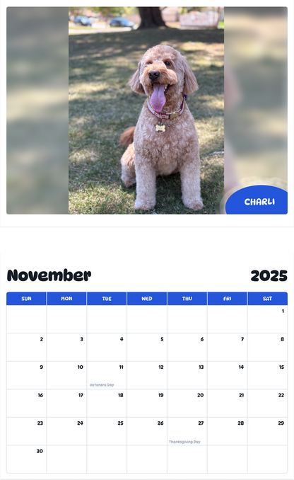 July 2025 - June 2026 Charli - Pawidols Pet Calendar