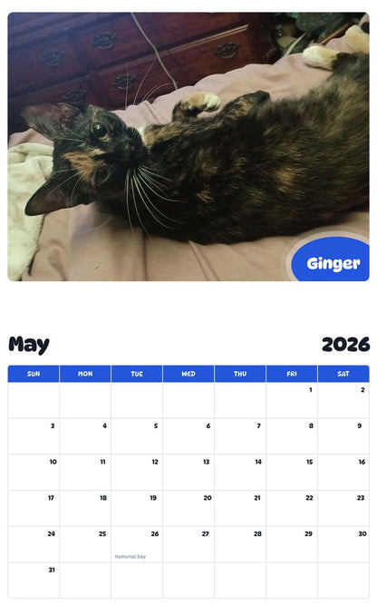 2026 - 2027 Ginger - Pawidols Pet Calendar