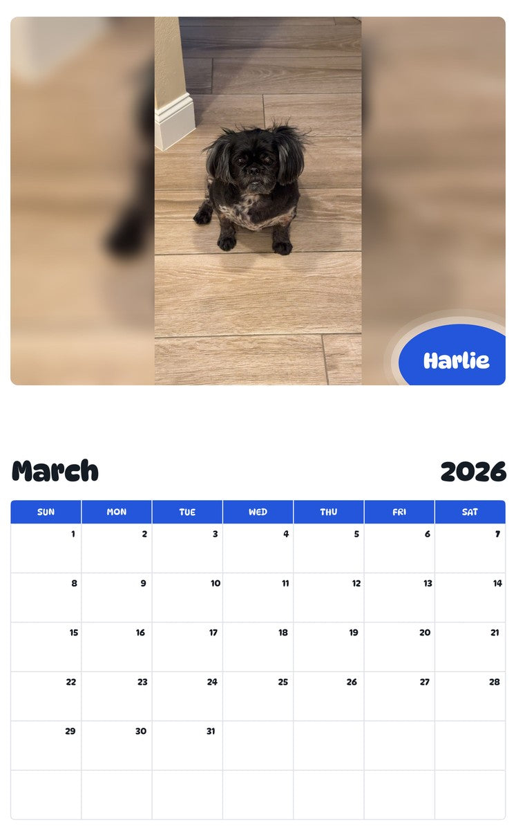 November 2025 - October 2026 Harlie - Pawidols Pet Calendar