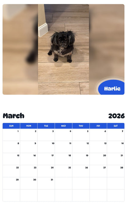 November 2025 - October 2026 Harlie - Pawidols Pet Calendar