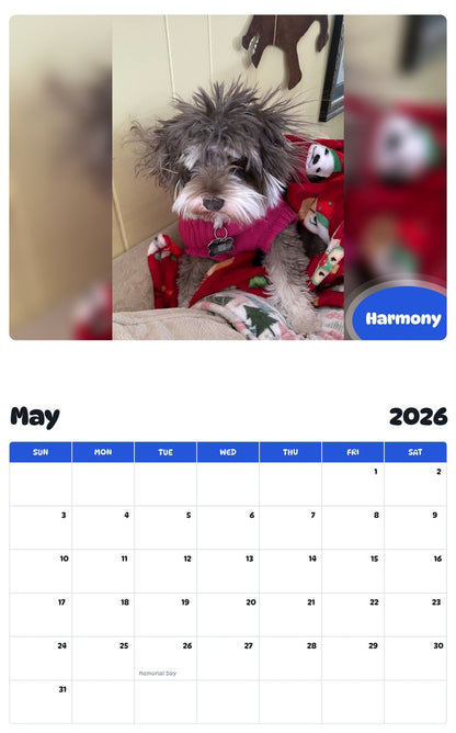 2026 - 2027 Harmony - Pawidols Pet Calendar