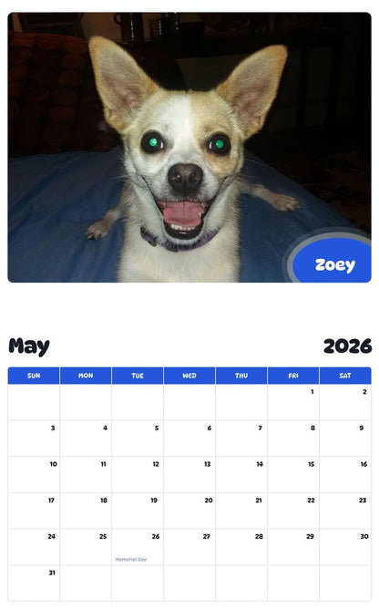 2026 - 2027 Zoey - Pawidols Pet Calendar