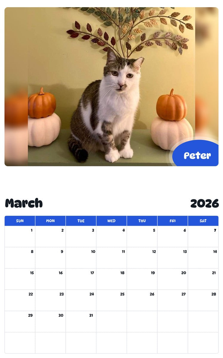 November 2025 - October 2026 Peter - Pawidols Pet Calendar