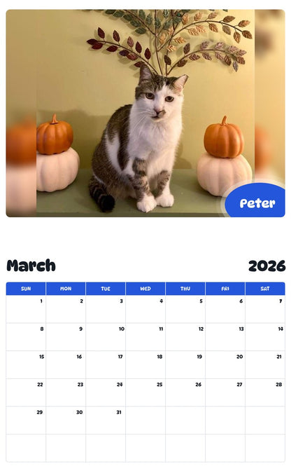 November 2025 - October 2026 Peter - Pawidols Pet Calendar