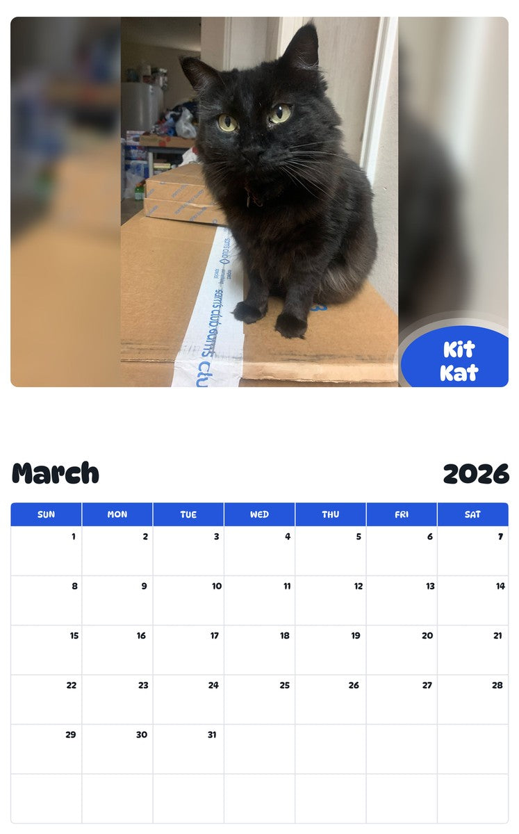 November 2025 - October 2026 Kit Kat - Pawidols Pet Calendar