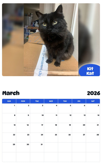 November 2025 - October 2026 Kit Kat - Pawidols Pet Calendar