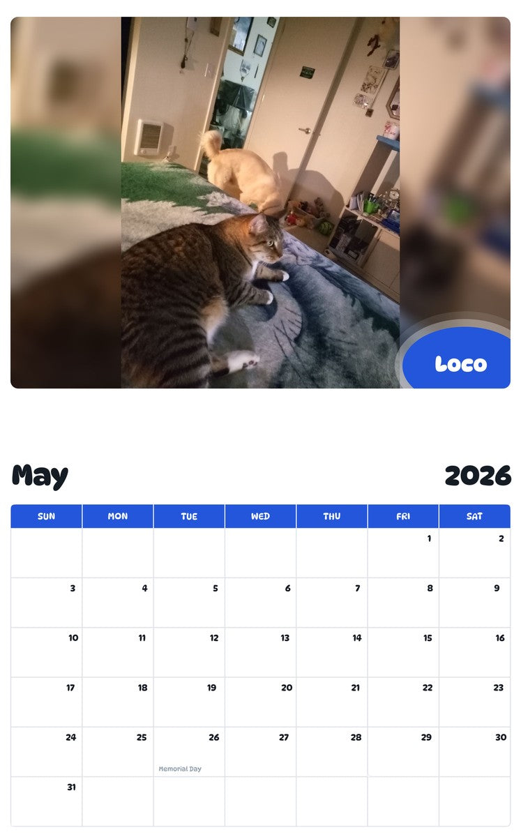 2026 - 2027 Loco - Pawidols Pet Calendar