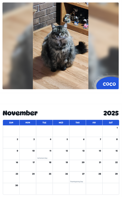 July 2025 - June 2026 Coco - Pawidols Pet Calendar