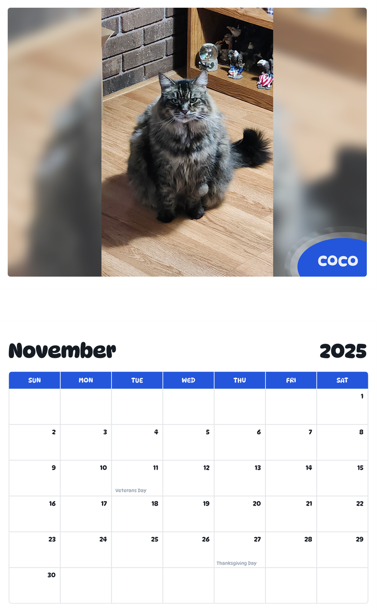 July 2025 - June 2026 Coco - Pawidols Pet Calendar
