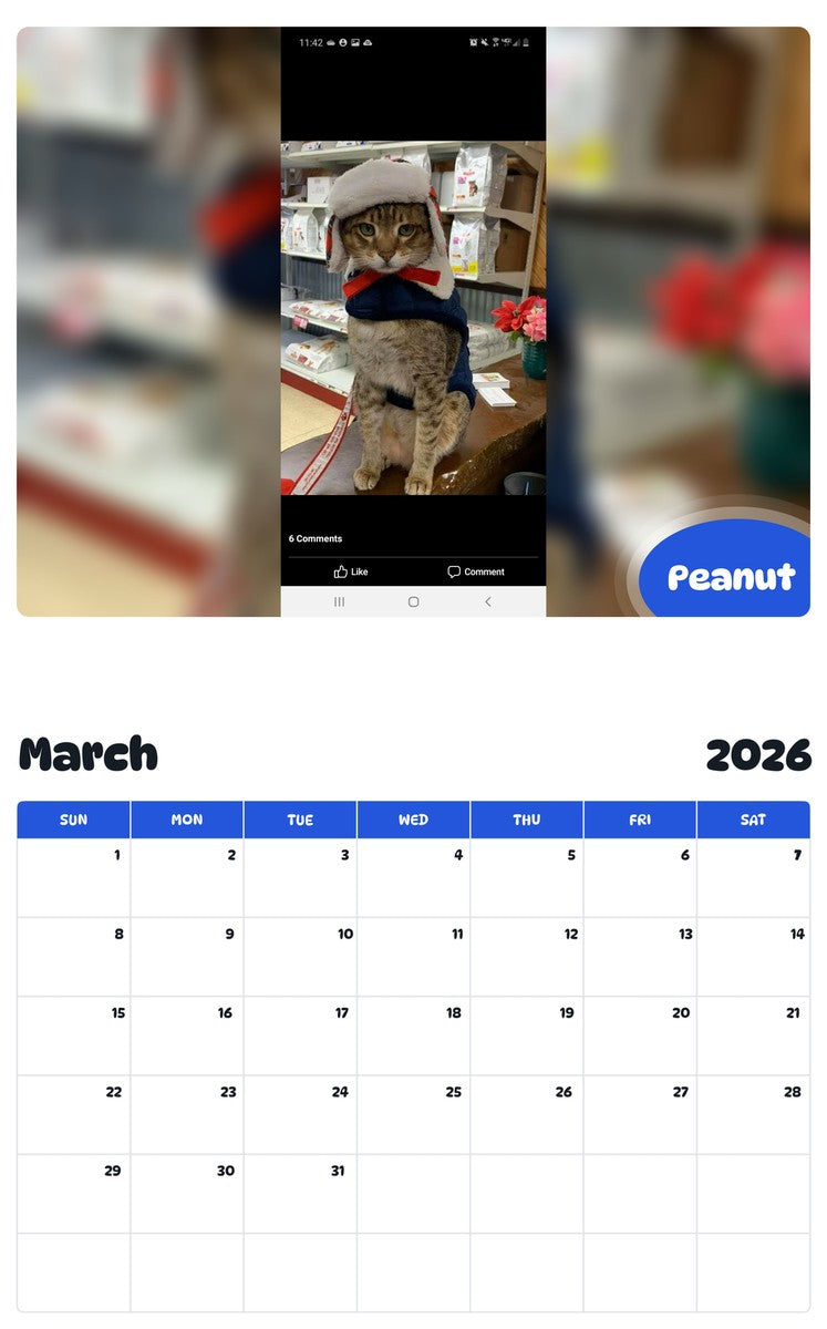 November 2025 - October 2026 Peanut - Pawidols Pet Calendar