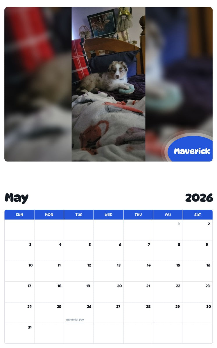 2026 - 2027 Maverick - Pawidols Pet Calendar