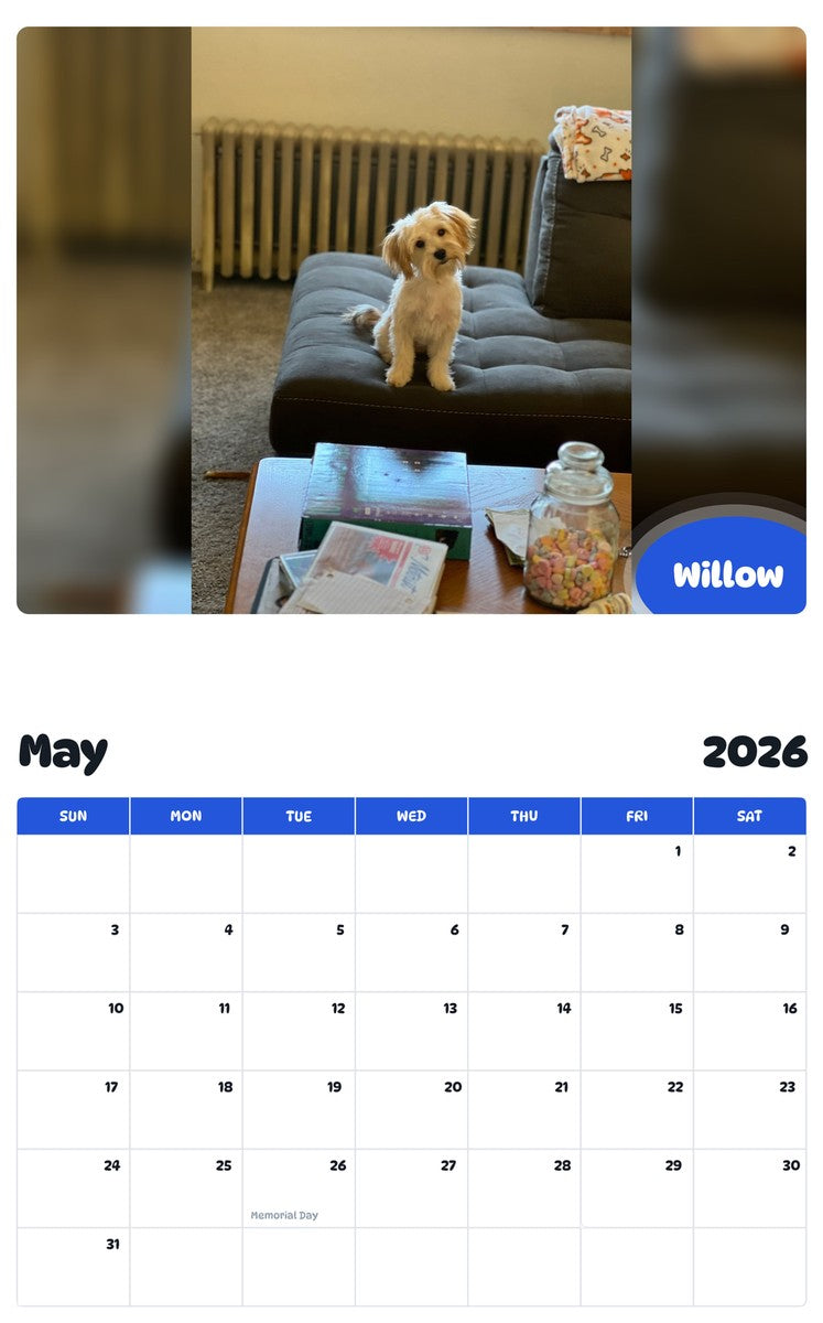 2026 - 2027 Willow - Pawidols Pet Calendar