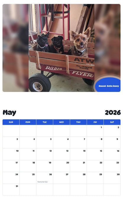 2026 - 2027 Rascal  Bella Sassy - Pawidols Pet Calendar