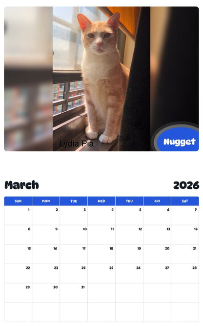 November 2025 - October 2026 Nugget - Pawidols Pet Calendar