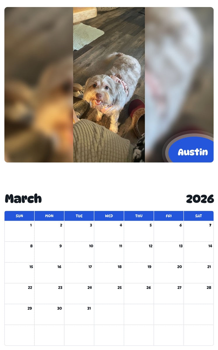 November 2025 - October 2026 Austin - Pawidols Pet Calendar