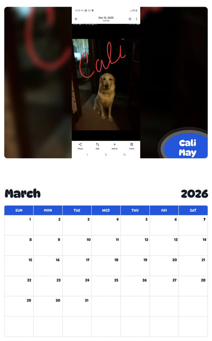 November 2025 - October 2026 Cali May - Pawidols Pet Calendar