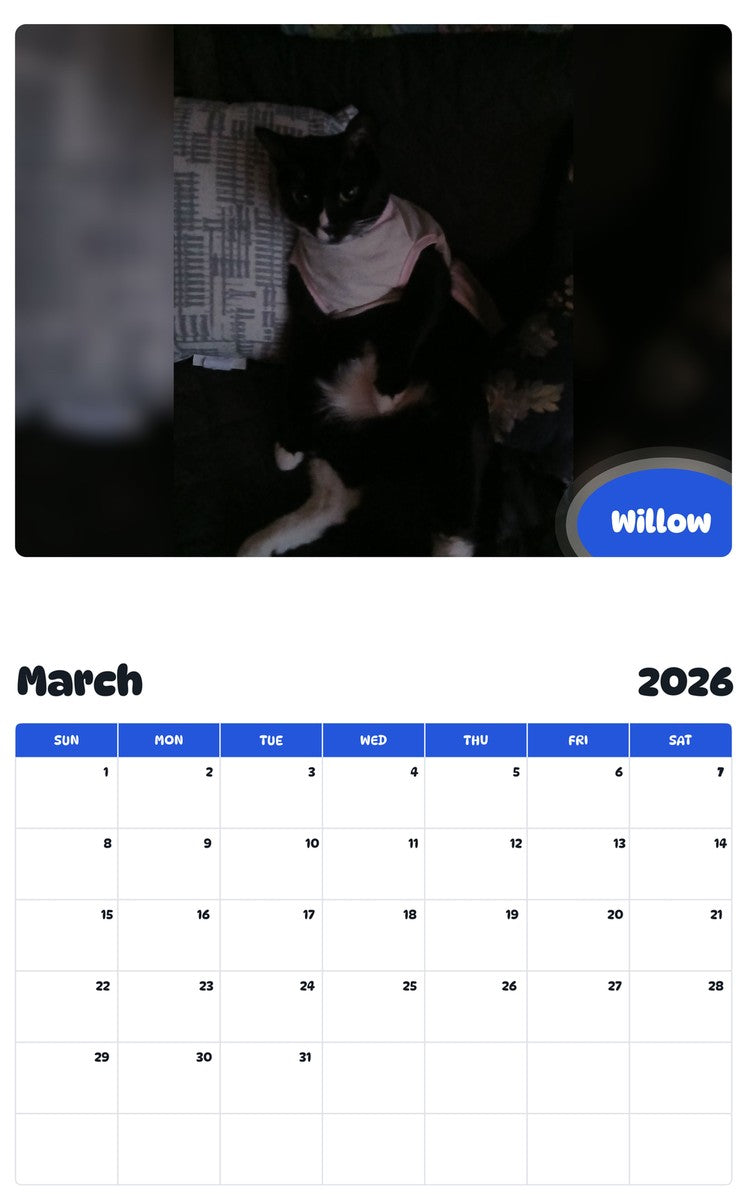 November 2025 - October 2026 Willow - Pawidols Pet Calendar