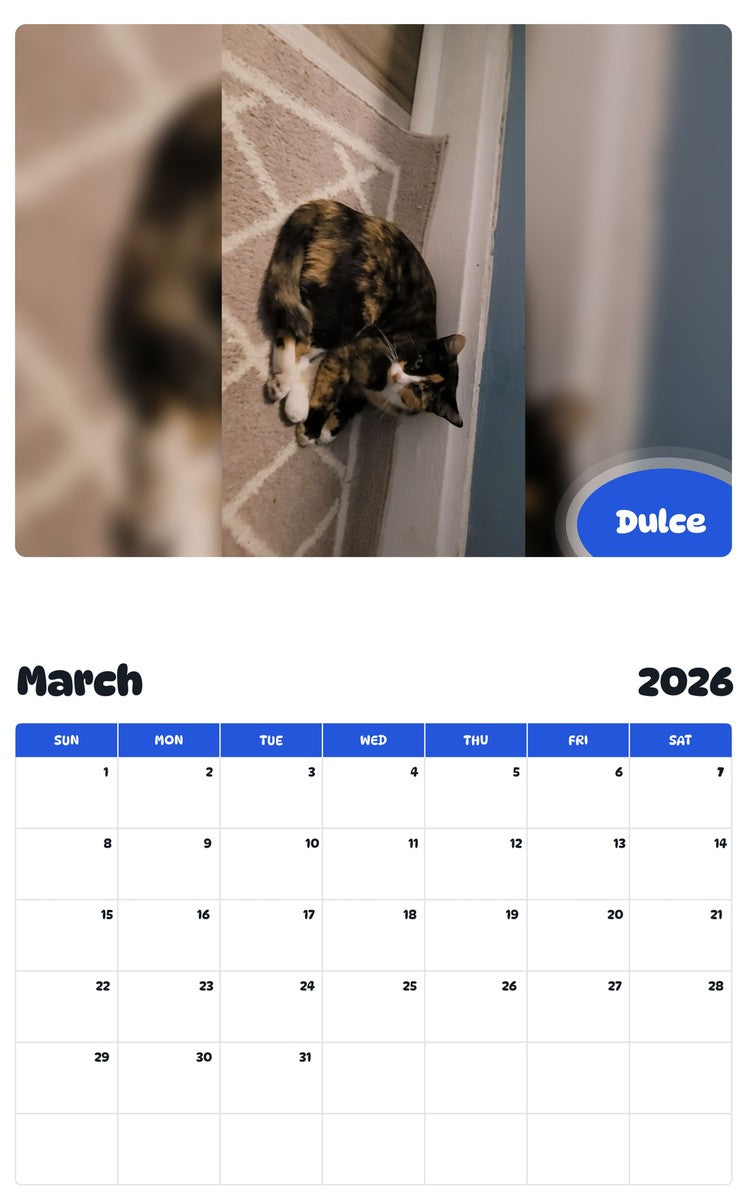 November 2025 - October 2026 Dulce - Pawidols Pet Calendar