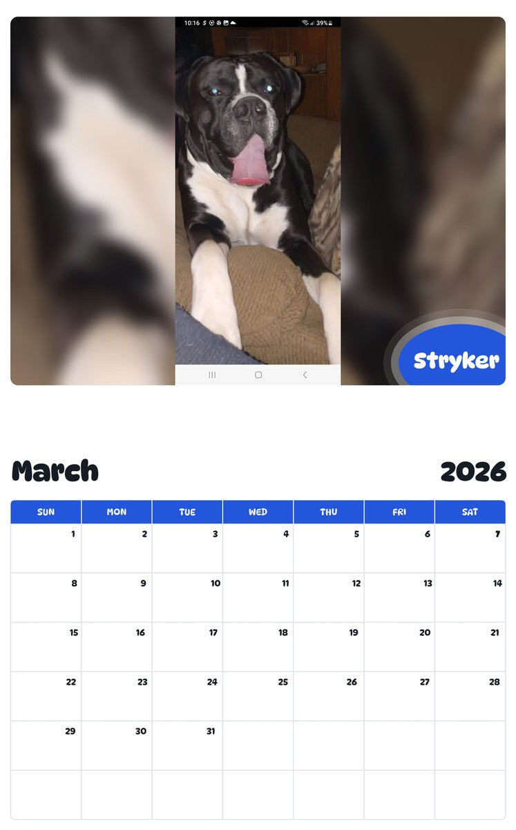 November 2025 - October 2026 Stryker - Pawidols Pet Calendar