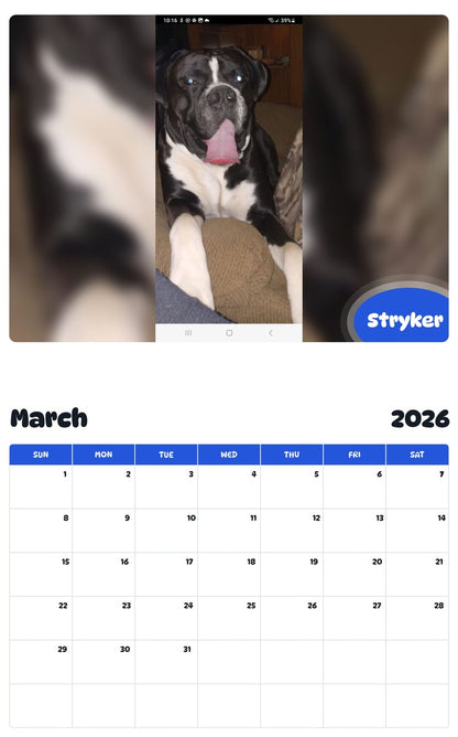 November 2025 - October 2026 Stryker - Pawidols Pet Calendar
